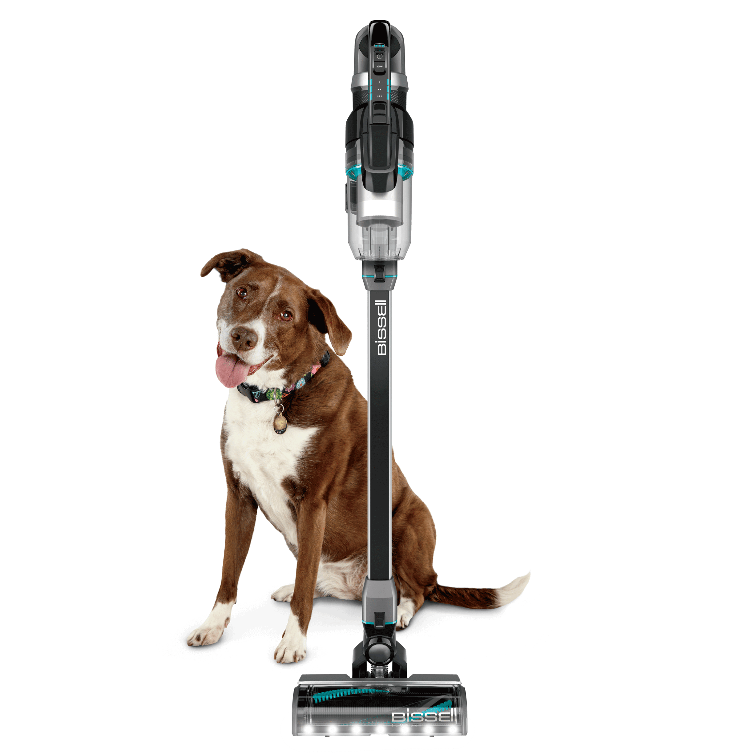 BISSELL® ICONpet® Cordless Vacuum 22889 BISSELL Vacuums